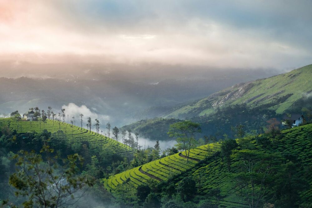 Kovalam — Beaches & resorts